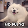 NO FUI YO
@Giseelove_Stickers
