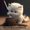MichiBarrendero.