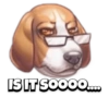 Pet reactions 18