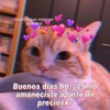 Gatitos Anti-depresivos Vol.1 18