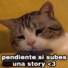 💣🍃 LO MÁS VIRAL mix 1 🛐❤️ 6