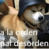 a la orden
pal desorden