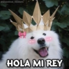 @Giseelove_Stickers
HOLA MI REY