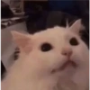 Shitpost 😮‍💨 16