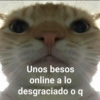 ❤️Shitposting de Amor❤️ 21