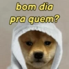 Pets, memes e reações 🐶 9