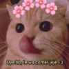 @cute_uwu.posting
Oye bb, te wa comer jeje <3