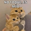 Michis Para Ti pt.8🐱❤️ 8