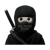 Black V2 19