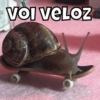 VOI VELOZ