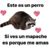🌈☁️😎 Shitpost Mix 😎☁️🌈 2❤️ 17