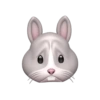 Emoji iphone random 12