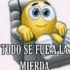 TODO SE FUE A LA
MIERDA