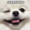 SECRETITO