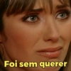 Foi sem querer