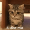 Ai dise mío