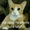 ❤️Shitposting de Amor❤️ 22