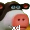 px