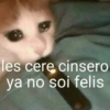 les cerę cinsero
ya no soi felis