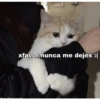 xfavor nunca me dejes :(
