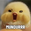 MUNDURRR
