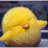 Shakipiyo 🐣 6