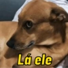 Lá ele