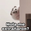 Animalitos con frases 3❤️😎 25