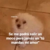✨ Bonitos Para Dedicar ✨❤️ 2 18