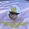 By @Cats4mood en Instagram
Disculpen mi inocencia, pero...
¿Que es pack? mándeme
ejemplos