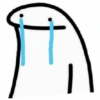 Reações do Flork 😂 14