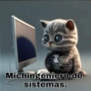 Michingeniero de sistemas.