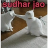 Cute quby 15