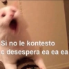 Si no le kontesto
c desespera ea ea ea