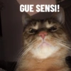 Kucing oyen 6