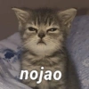nojao
