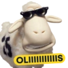 Ovejas Serta 13