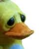 MEMES RANDOM #02 11
