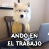 ANDO EN
EL TRABAJO
@Giseelove_Stickers