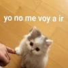 🤪👌Shitposting Random 😎🤟3 14