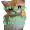 otro día mas sin estabilidad emocio