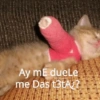 Ay mE dueLe
en disparat
me Das t3tA?
