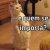 importa?
as mənbə