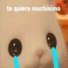 Randomcitos Para Tu Chat 🧬 8