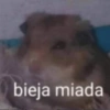 bieja miada