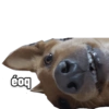 bog