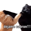 Pa cuando quieres golpear a tu novix 22