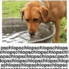 pschlopschlopschlopschlops
chlopschlopschlopschlopschl
opschlopschlopschlopscpsch
lopschlopschlopschlopschlop
schlopschlopschlopschlopsc
gobl
blon
bl
ablon