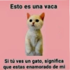 Esto es una vaca
Si tú ves un gato, significa
que estas enamorado de mi
