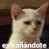 extrañándote: